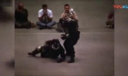 截拳宗师小李爆料视频播放,独家爆料视频背后的故事