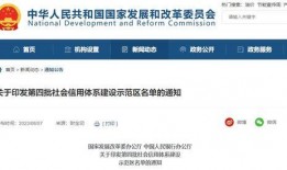 最新爆料石家庄新闻网站,揭秘重大事件背后真相